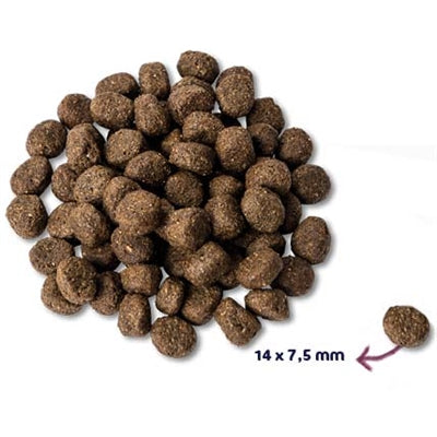 Renske Super Premium Senior Senior Türkei Getreidefrei